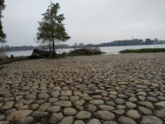 -东湖落雁景区