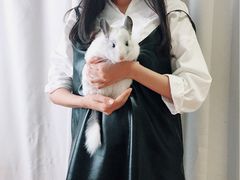 -藦茜花园宠物主题亲子互动体验馆(国顺东路店)