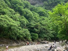 -黑河国家森林公园