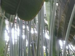 -龙达温泉生态城