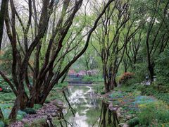 -上海共青森林公园