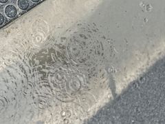 -沪依小酒馆心意菜