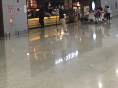 -星巴克(浦东机场T2到达店)