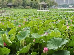 -云龙湖旅游景区