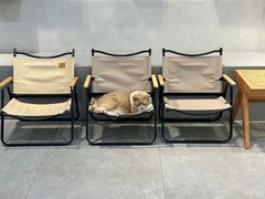 -伟伟宠物医院·CT影像中心·瑞派犬猫综合性门诊(汉口总院)
