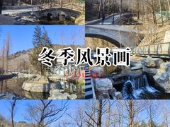 -白水寺森林公园