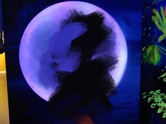 -天津梵高星空艺术馆(天河城旗舰店)