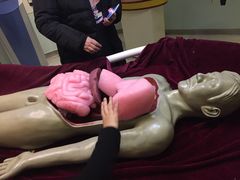 -陕西自然博物馆