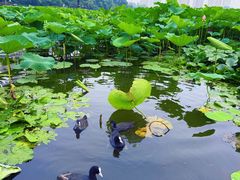 -前关湿地公园
