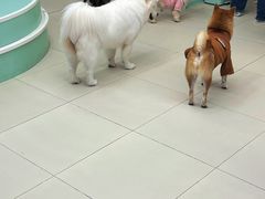 -怪兽屋·羊驼·猫咖·狗咖(俊华广场店)