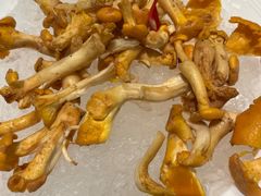 鸡油菌-皇城老妈·大连海鲜火锅(港湾店)