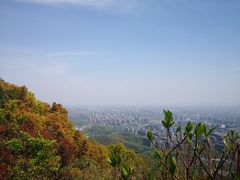 -杭州半山国家森林公园