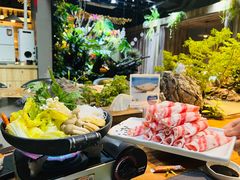 -森味薪火烧•烧鸟居酒屋•日本料理(望京店)