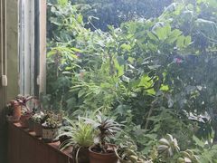 -鲍旭私房菜(兴苑路店)