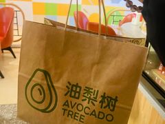 -油梨树AVOCADO TREE(嘉里中心店)