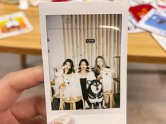 -柴迷FANS CLUB·柴犬狗咖·猫咖