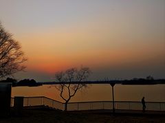 -贡湖湾湿地公园