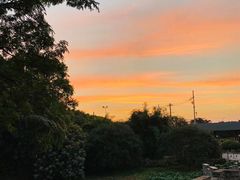 -树山生态村