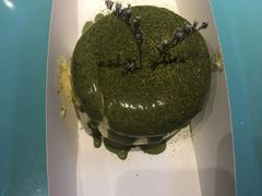 -狐狸和向日葵(北京路店)