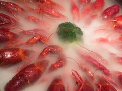 -红盔甲·小龙虾(天钥桥店)