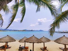 -墨脱石锅椰子鸡•香草鸭•东山羊(大东海店)