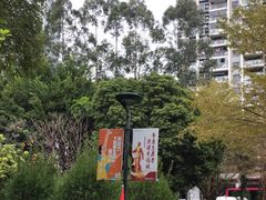 -金山公园