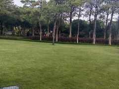 -白鹭洲公园