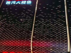 -阿五黄河大鲤鱼(英协路店)