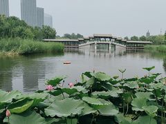 -西海子公园