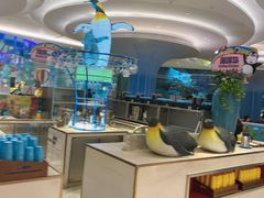 自助取餐区-帝企鹅自助餐厅•儿童岛•真企鹅(长隆企鹅酒店)