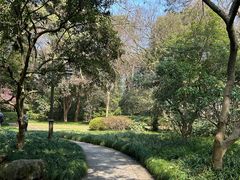 -杭州植物园