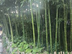 -王家大院