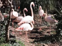 -昆明动物园