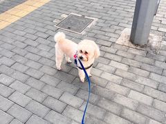 -宠颐生中康贝怡动物医院