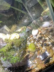 -酷嗒动物文化乐园(cutezoo西溪乐天城店)