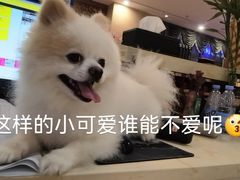 -享来足道·养生·SPA(虎泉店)