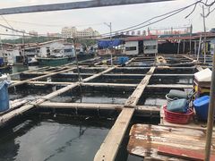 -蓝湾碧波·老字号·疍家非遗海上餐厅