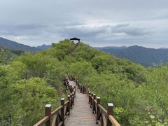 -大岭沟猕猴桃谷风景区