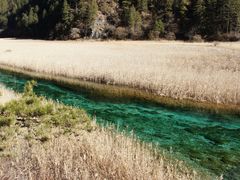 -九寨沟-树正沟