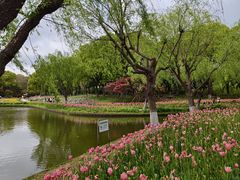 -上海鲜花港