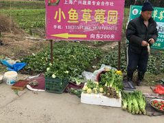 -小鱼草莓采摘园农家乐·小鱼餐厅