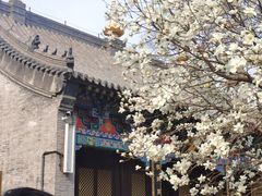 -护国法轮寺