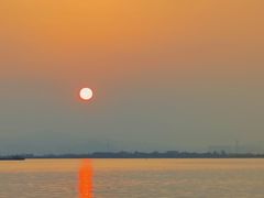 -芒洲湿地公园