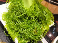-一斗火锅·招财羊毛肚(泰吉滨江店)