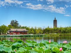-西海子公园