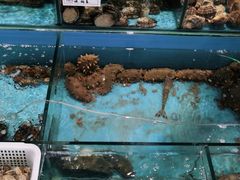水产区-中苑海韵