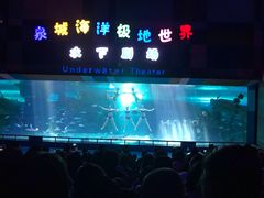 -泉城欧乐堡海洋极地世界