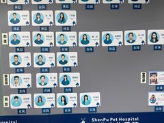 -申普宠物医院·心脏介入·心血管微创(总院)