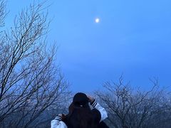 -紫金山山顶公园