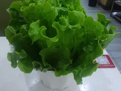 -牛百道·鲜活牛肉馆(天一店)